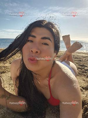 fotografias de nuestras putas y escorts