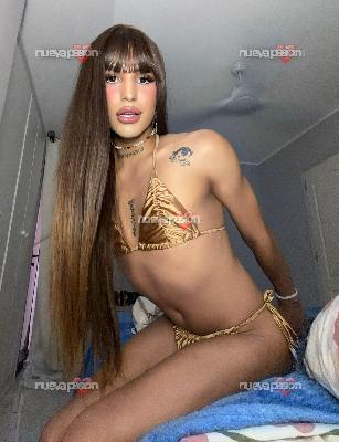 fotografias de travestis y transexuales en españa