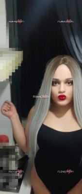 TRANS FIESTERA DIVERSIÓN ASEGURADA MOMENTOS INOLVIDABLES EN LUIS MONTOTO!