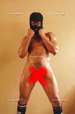 LATINO  POLLON XXL CAÑERO