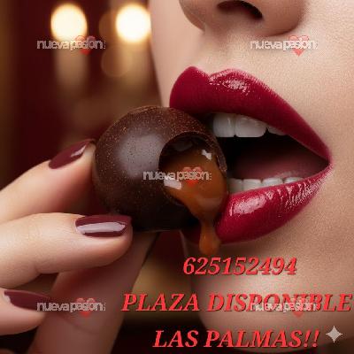 TU PLAZA EN LAS PALMAS Y SUR DE GRAN CANARIA