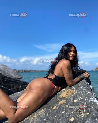 TRANS ELEGANCIA, DOMINACIÓN Y EXPERIENCIAS ÚNICA