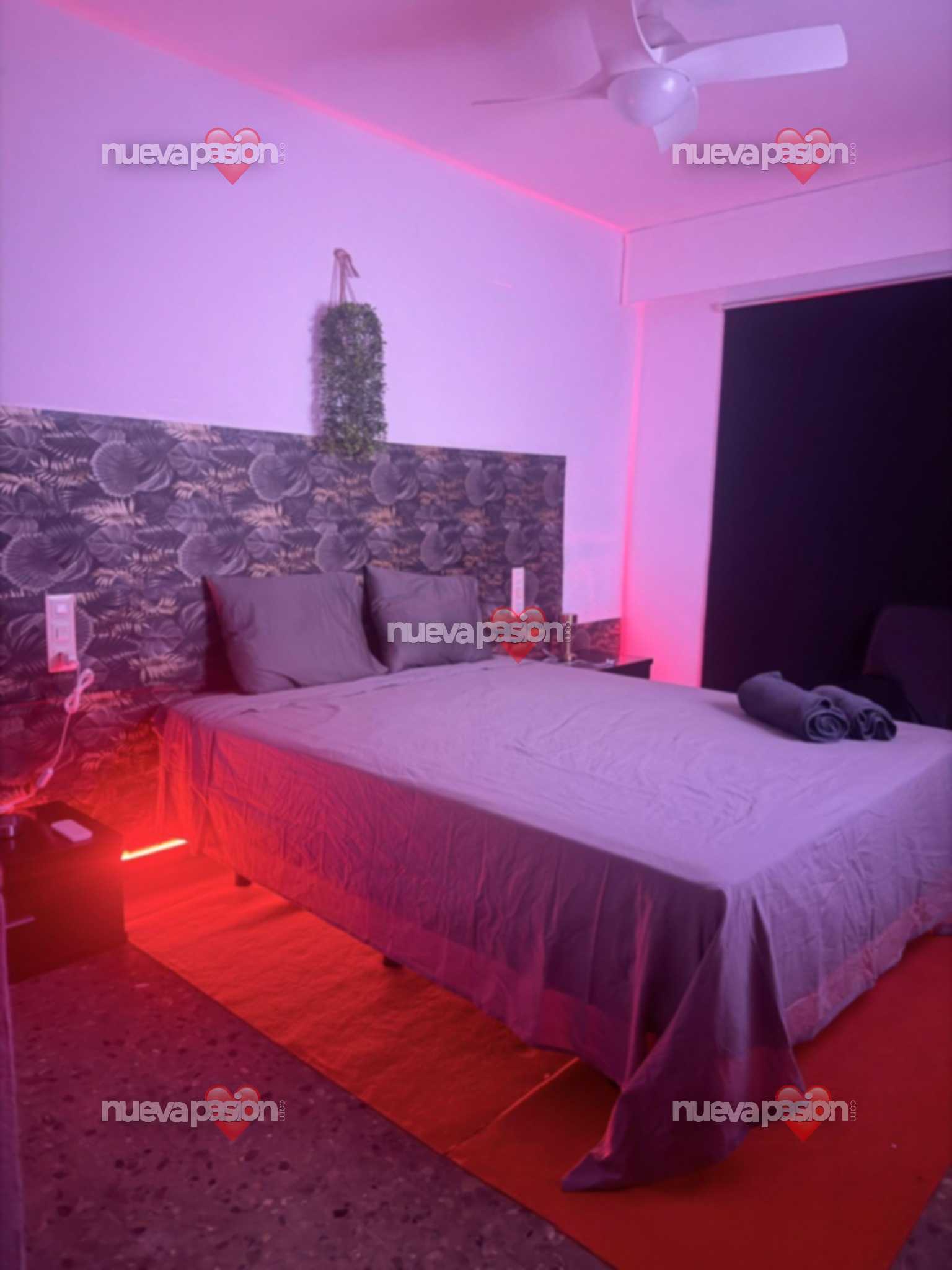 Escort 27 photo 6