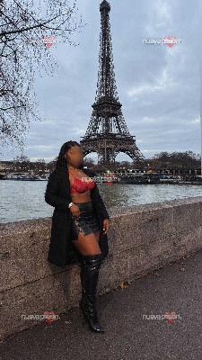 Novedad Recién Llegada