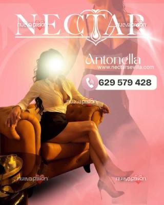fotografias de nuestras putas y escorts
