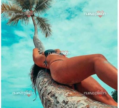 Hola Sara la guapetona