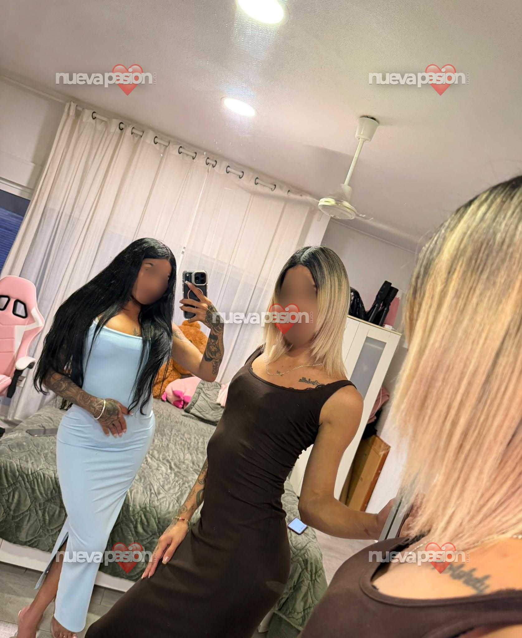 Trans latina 25 photo 3